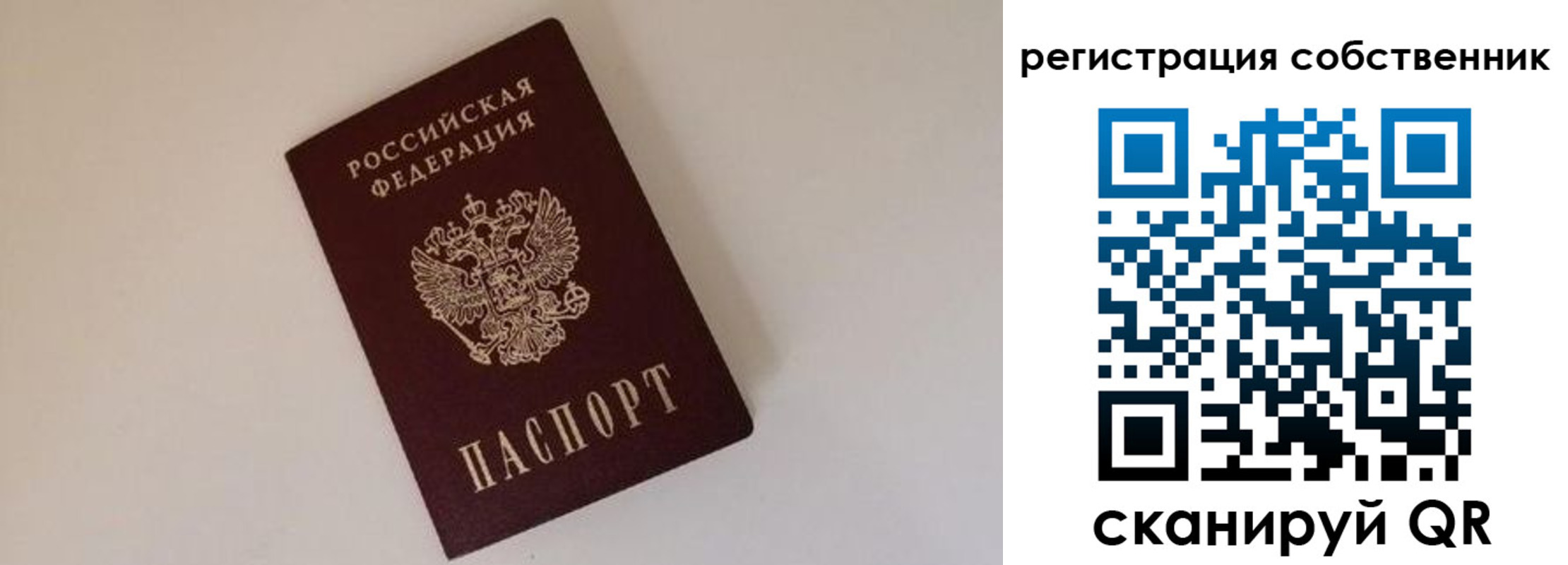временная регистрация надежно в Стародубе